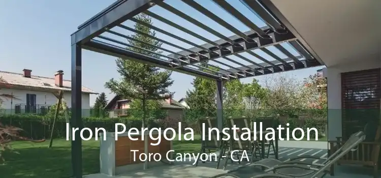 Iron Pergola Installation Toro Canyon - CA